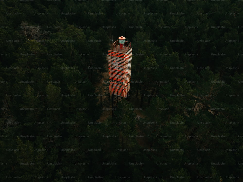 un'alta torre nel mezzo di una foresta