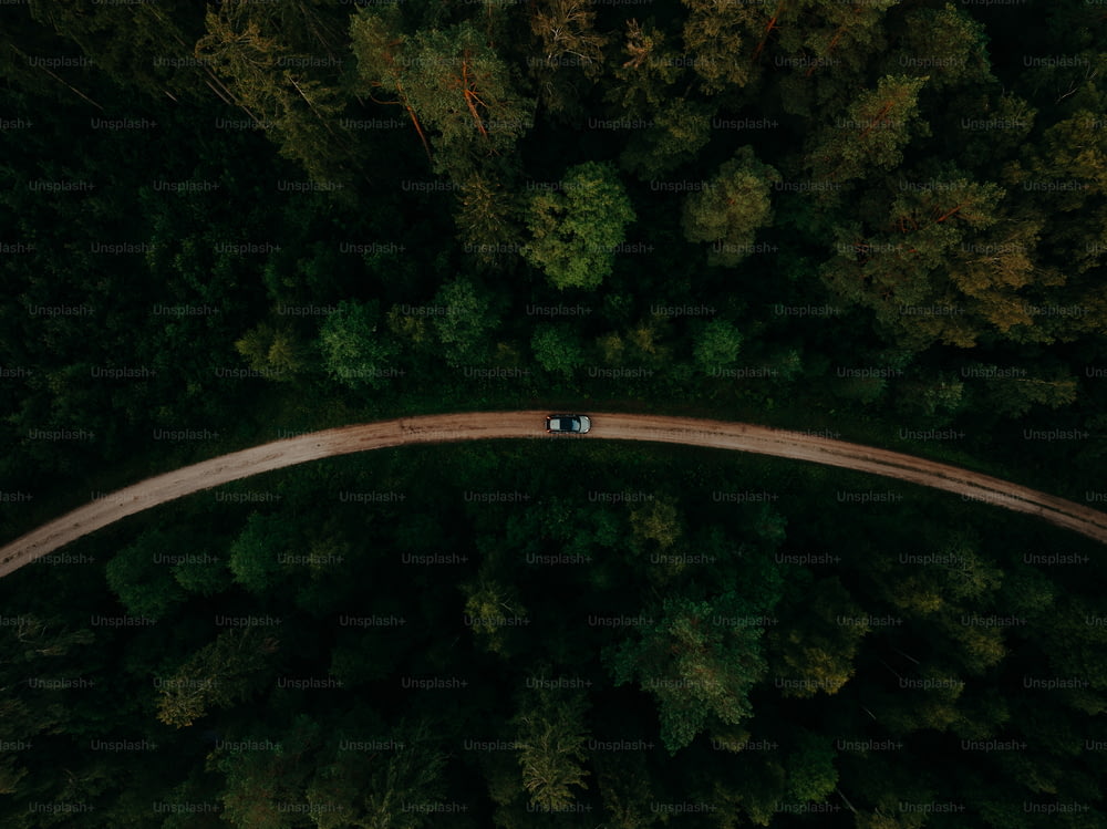 Vue aérienne d’une voiture roulant sur une route au milieu d’une forêt