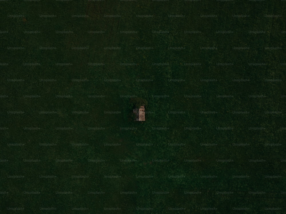 an aerial view of a person laying in the grass