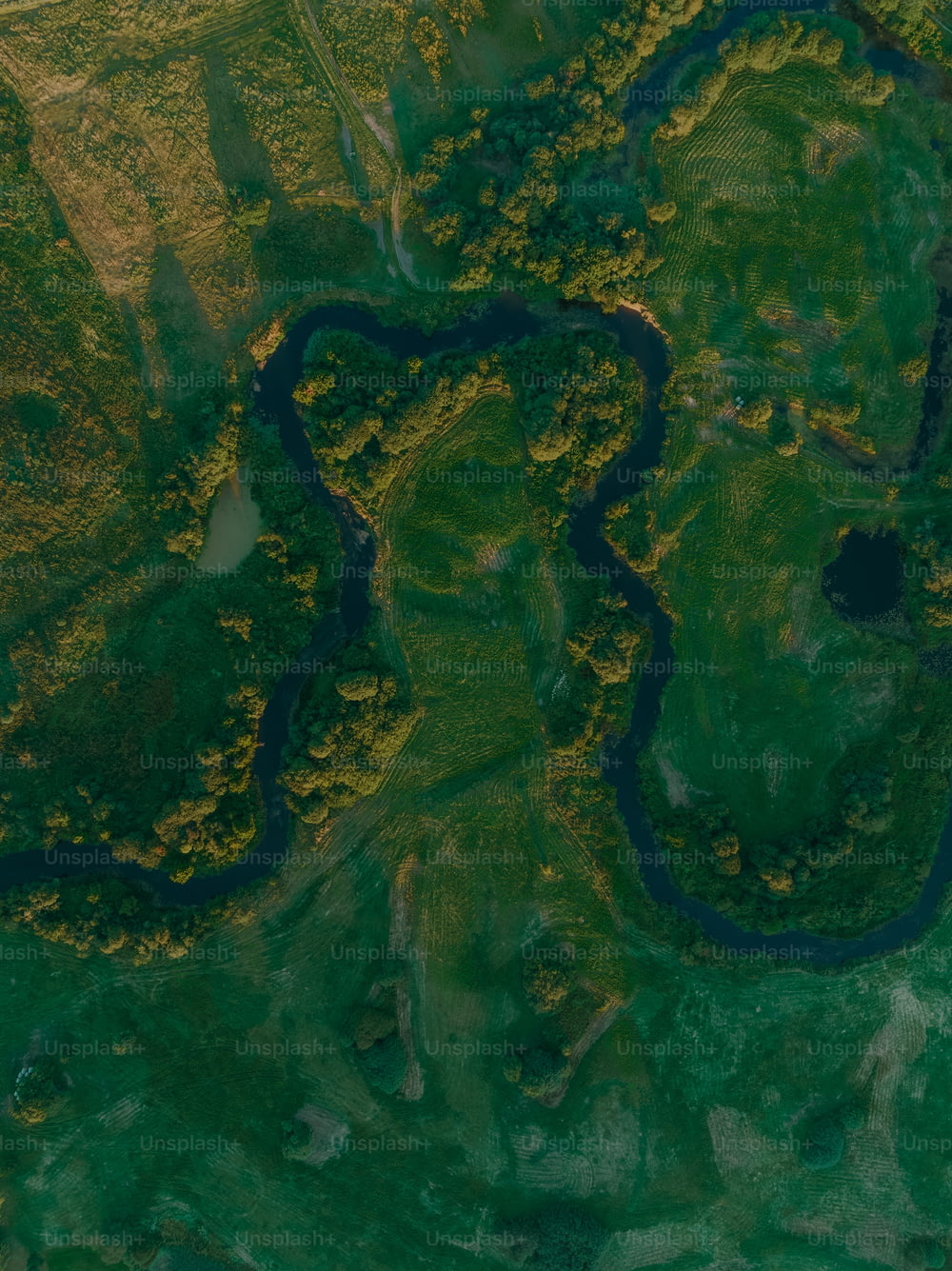 Eine Luftaufnahme eines Flusses, der durch ein üppig grünes Feld fließt