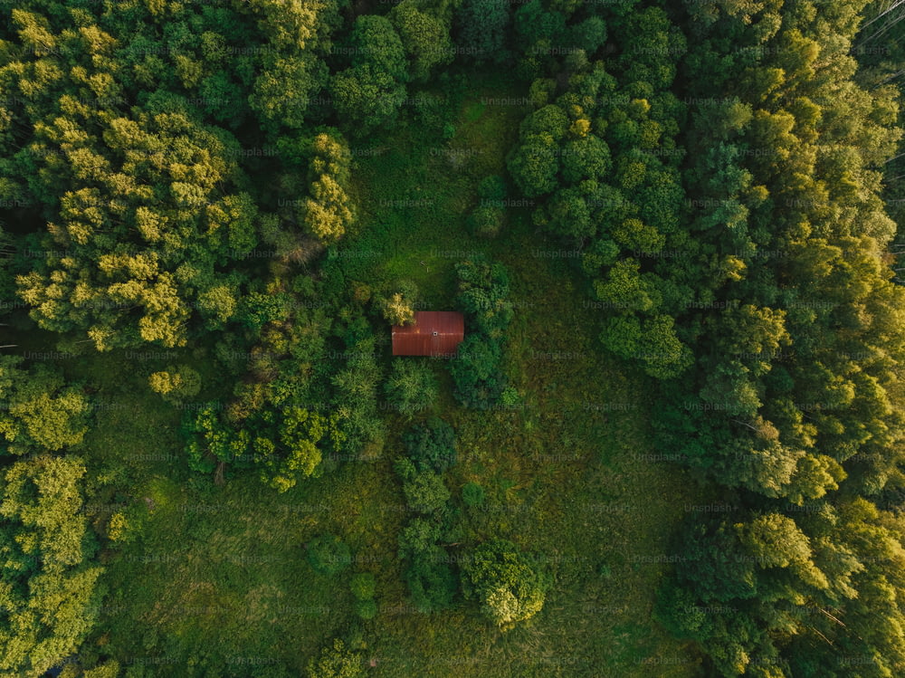 an aerial view of a red cabin in the middle of a forest