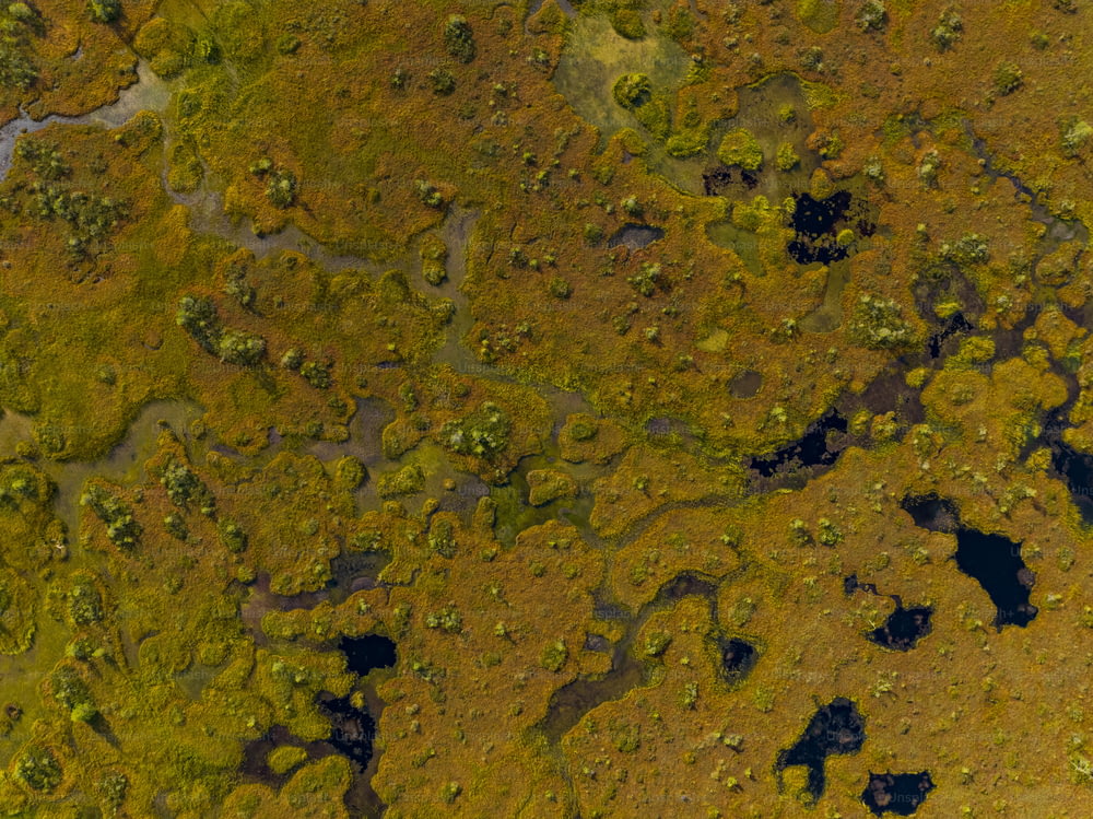 una veduta aerea di un'area erbosa attraversata da un fiume
