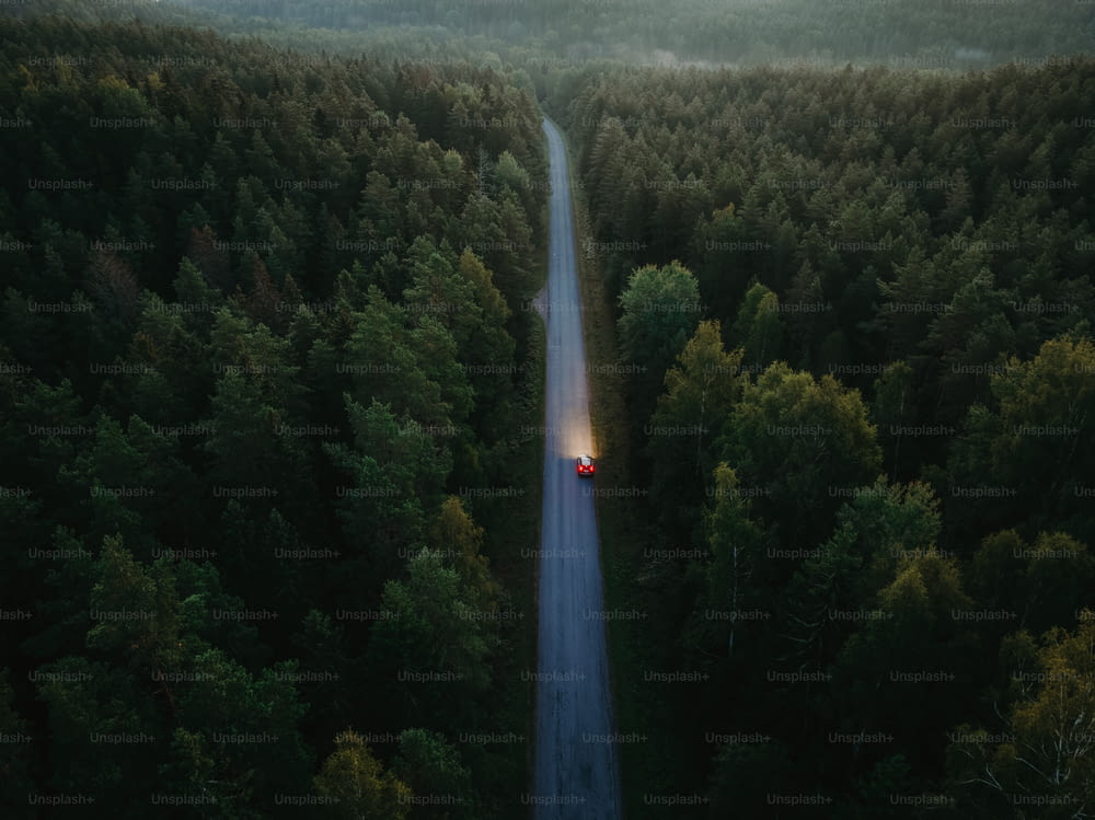 a car driving down a road in the middle of a forest