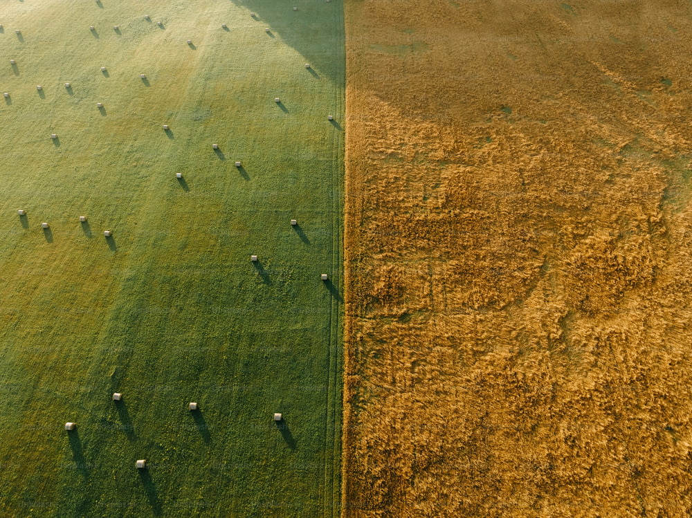 an aerial view of a field and a field of grass