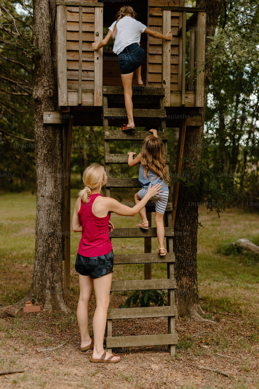 Un groupe d’enfants grimpe dans une cabane dans les arbres
