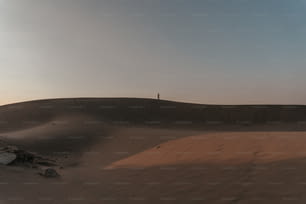 砂丘の上に立つ人