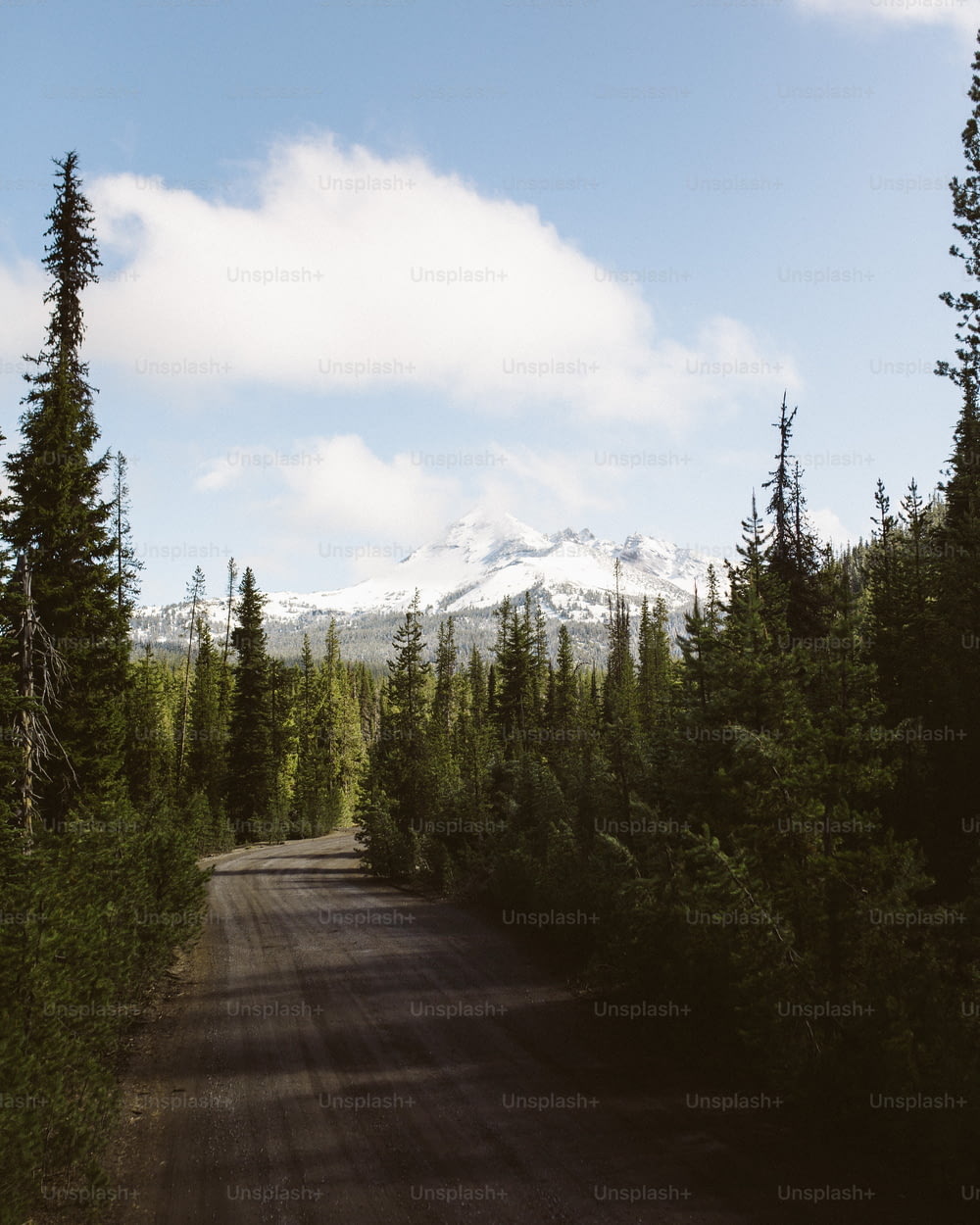 a dirt road surrounded by trees with a snow capped mountain in the background