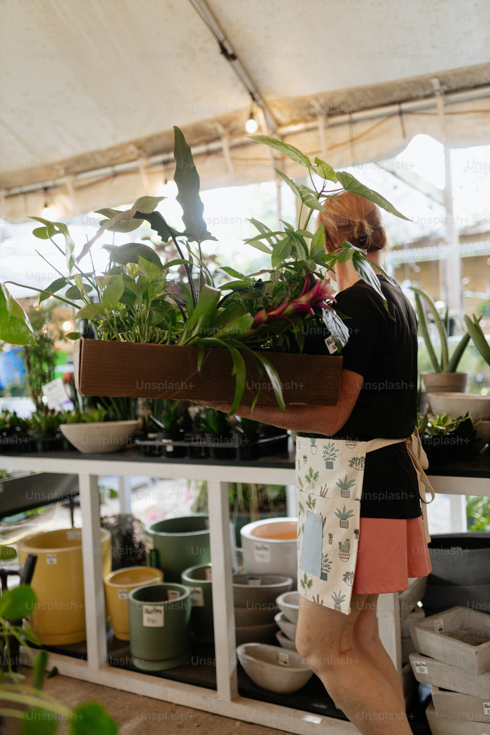 a woman carrying a tray of plants in a greenhouse