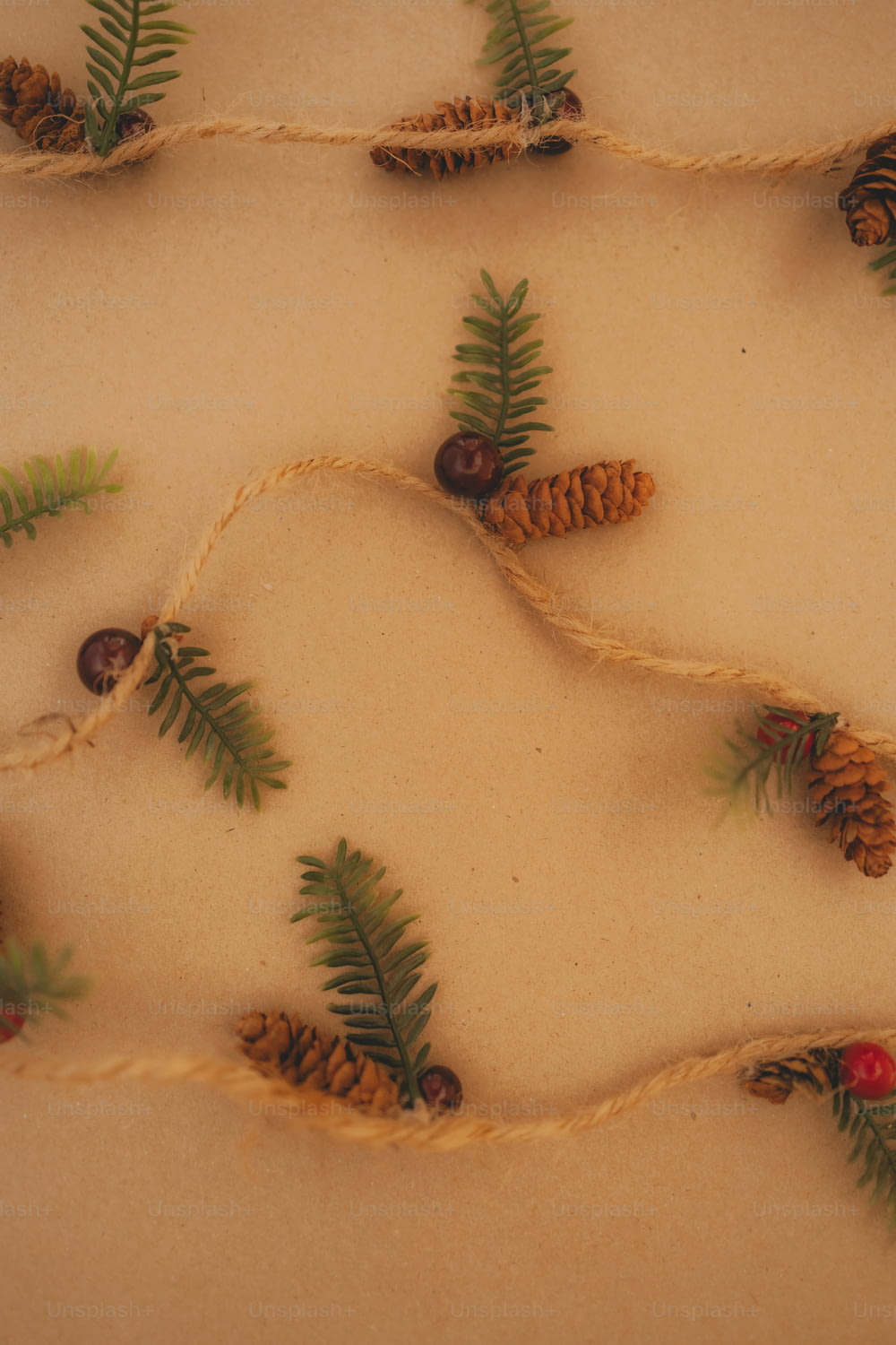 pine cones and pine needles are tied to twine