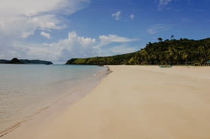 una spiaggia di sabbia con palme e barche in acqua