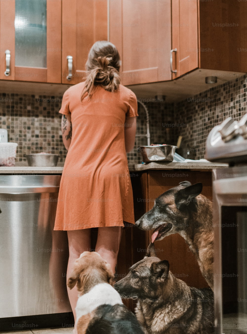 a woman standing in a kitchen with three dogs