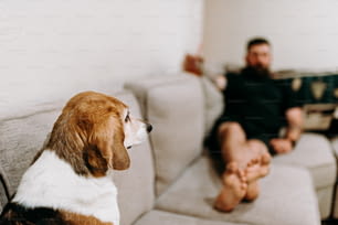 a man sitting on a couch next to a dog