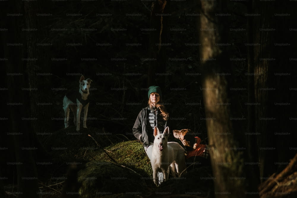 a woman standing next to two dogs in the woods