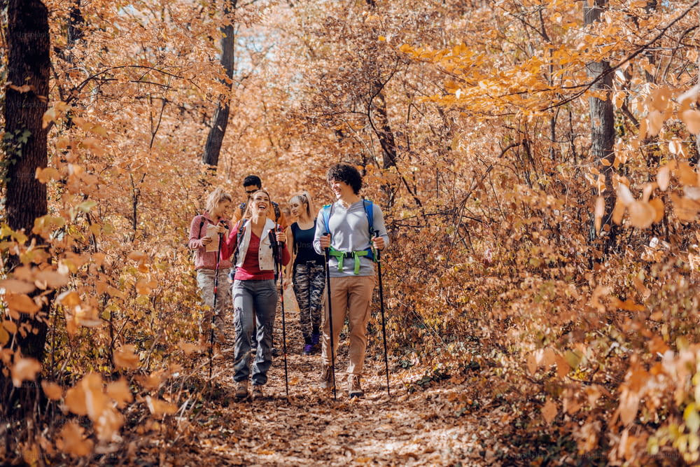 Excursionistas explorando el bosque en otoño. Árboles y hojas caídas por todas partes.