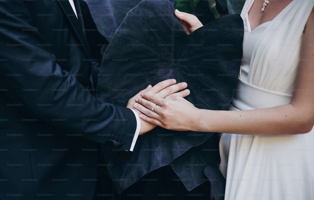Stylish bride and groom hands on big black leaf in botanical garden in Italy, creative wedding photo. Couple holding hands with wedding rings on black leaf of Colocasia esculenta black magic