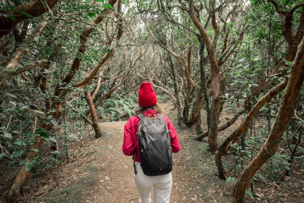 Woman dressed casually in red shirt and hat hiking with backpack in the beautiful rainforest, traveling on Tenerife island, Spain