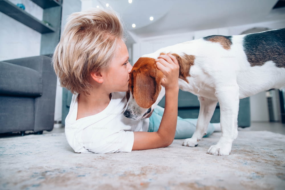 Cute little boy playing with dog on floor at home - Child kissing it's pet friend lying on carpet - Kids and dogs concept