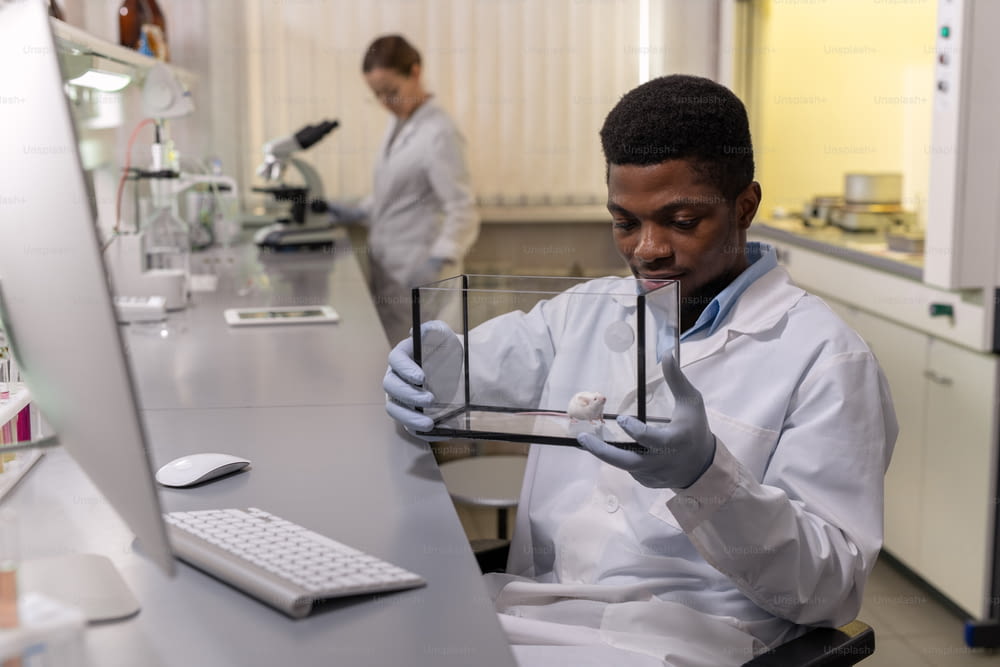 Young African man in workwear looking at white mouse in glass box while working in lab