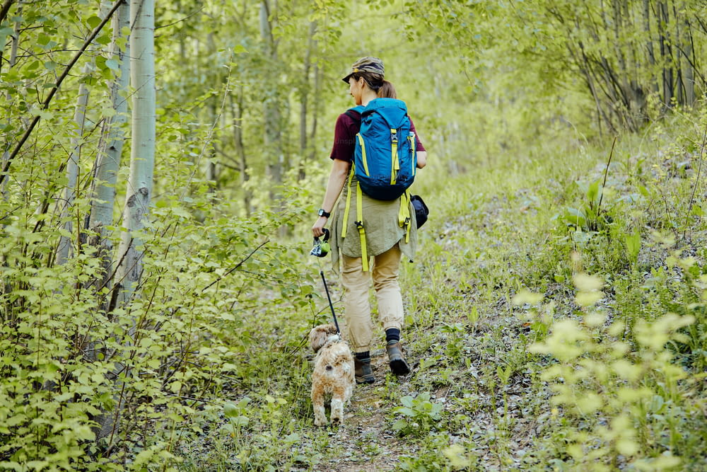 Rear view of hiker and her dog walking through the woods.