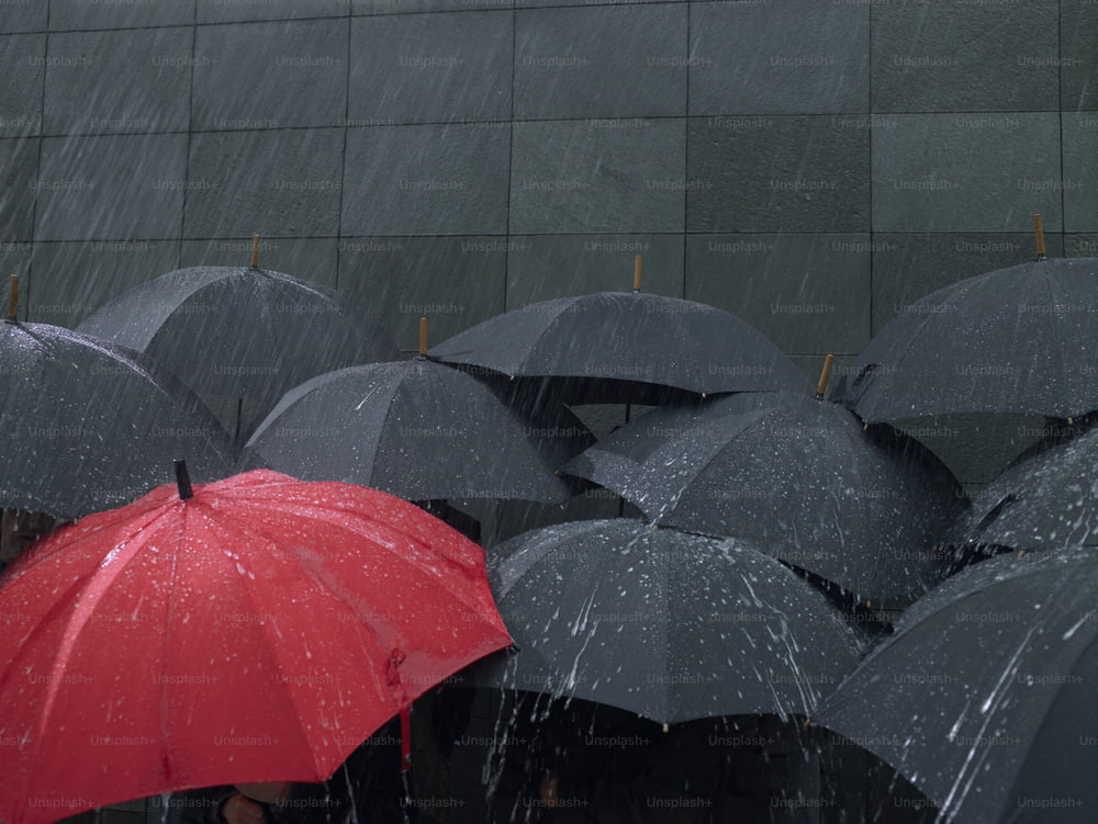 雨の中で傘を持つ人々のグループ