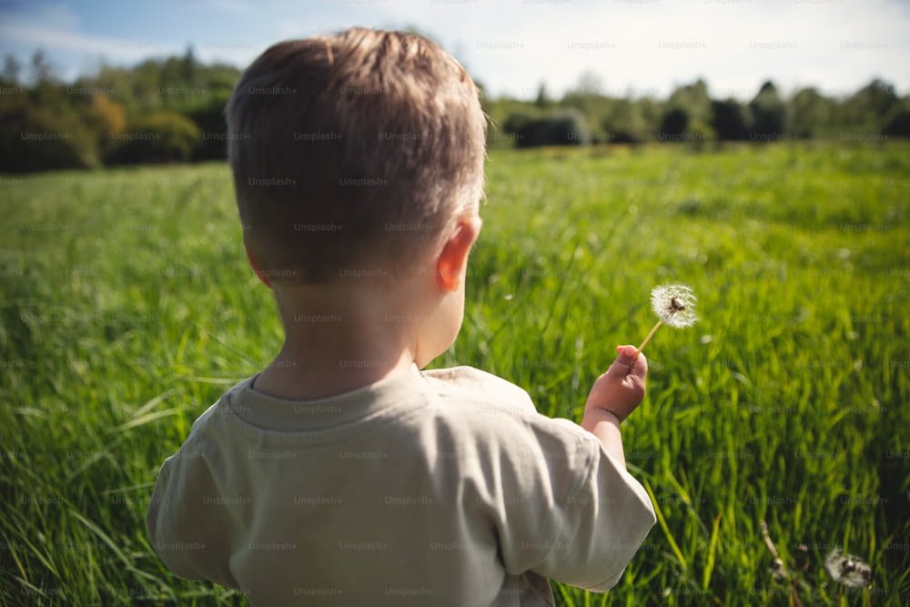 Ein kleiner Junge, der im Gras steht