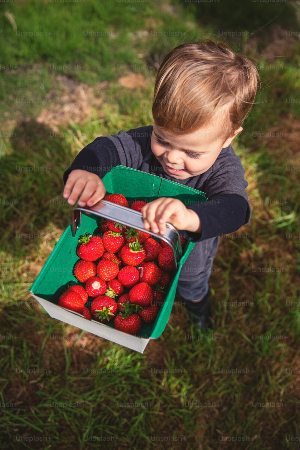 a young boy holding a box of strawberries