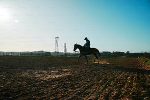 um homem montado no lombo de um cavalo marrom