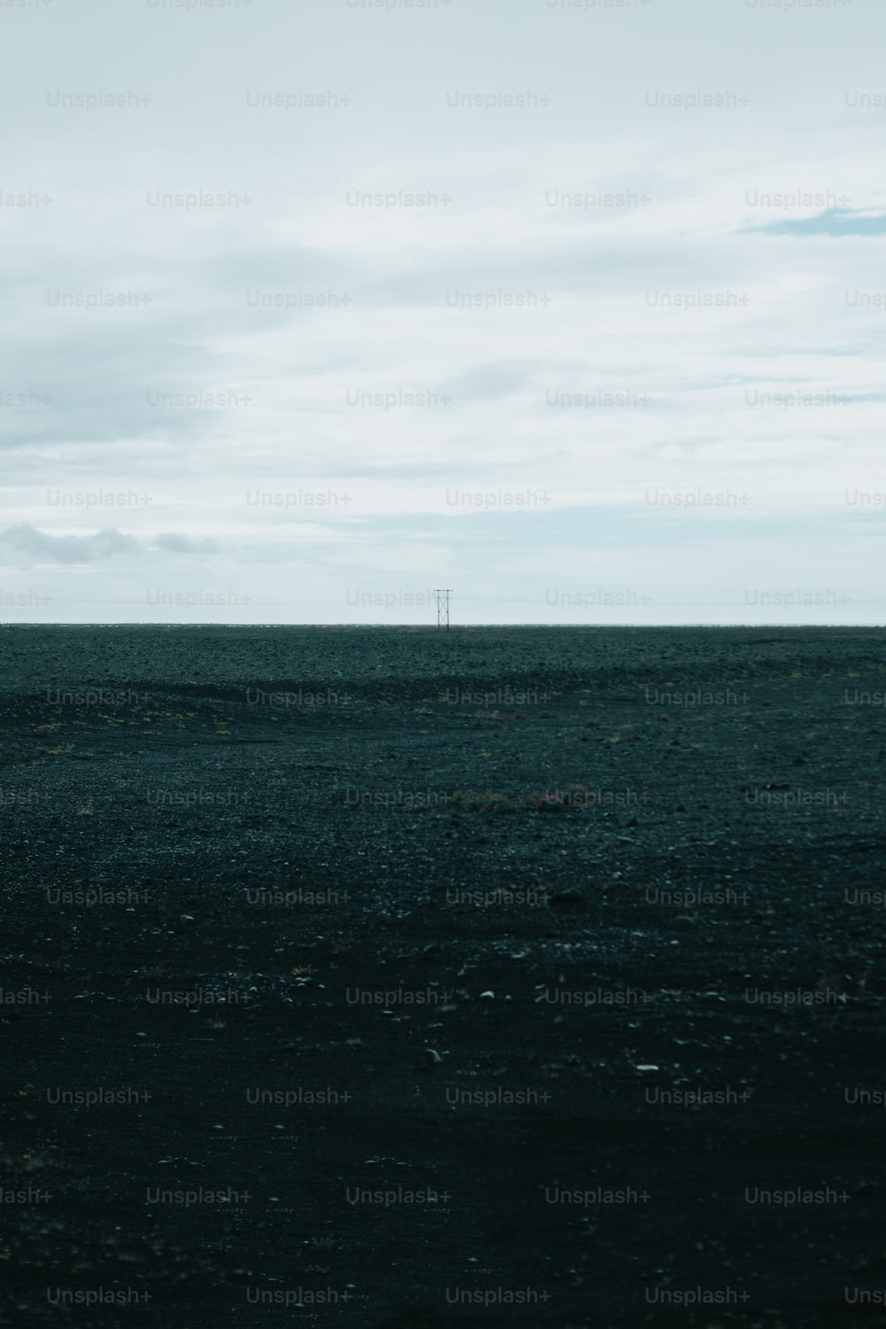 Un cavallo solitario in piedi in mezzo a un campo