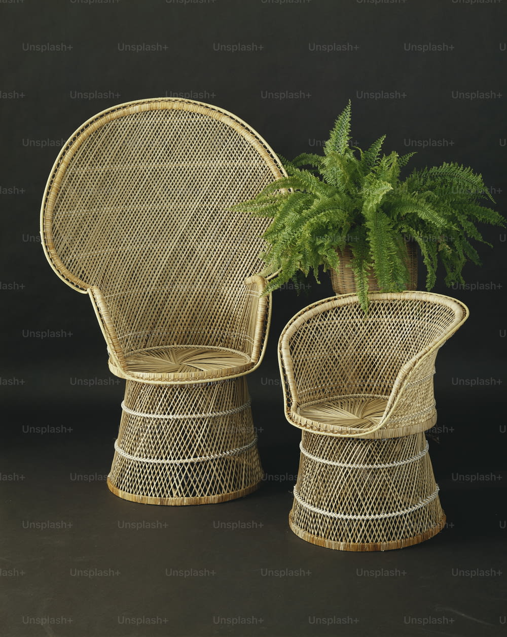 Due sedie di vimini con una pianta nel mezzo