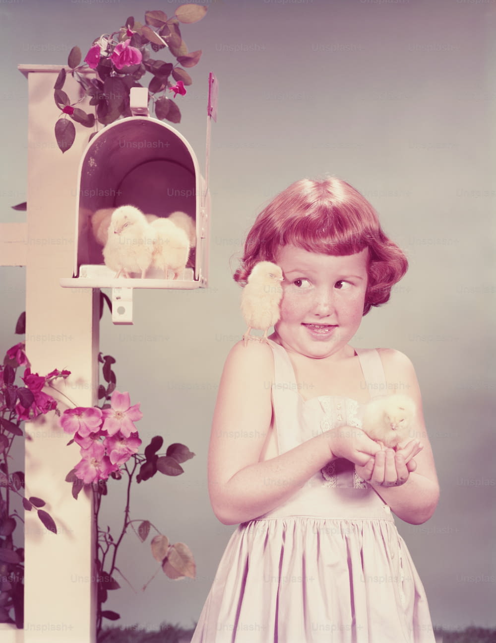 UNITED STATES - CIRCA 1950s:  Red haired girl by mail box holding chick, another on her shoulder and more in mailbox.
