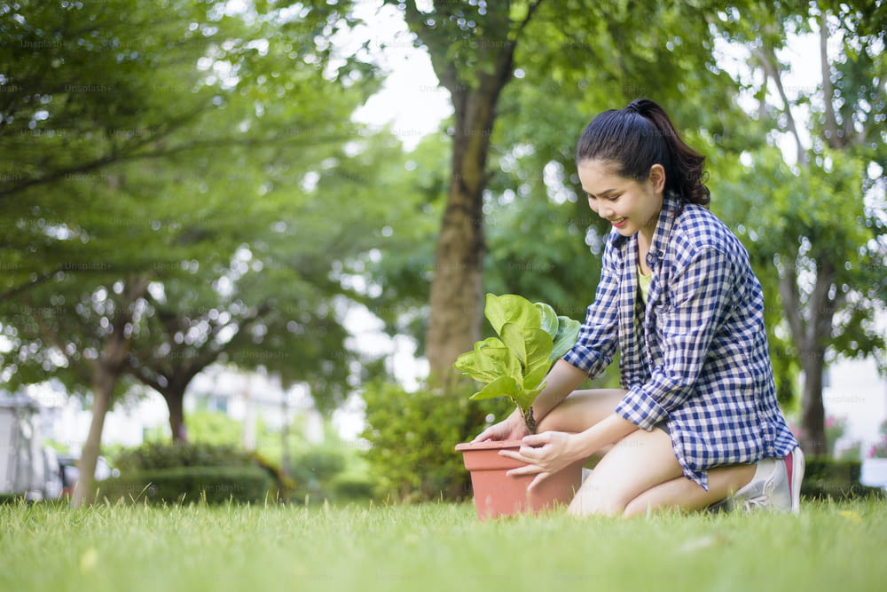 la donna sta piantando l'albero nel giardino