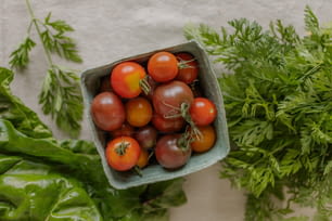 un bol de tomates et de persil sur une table