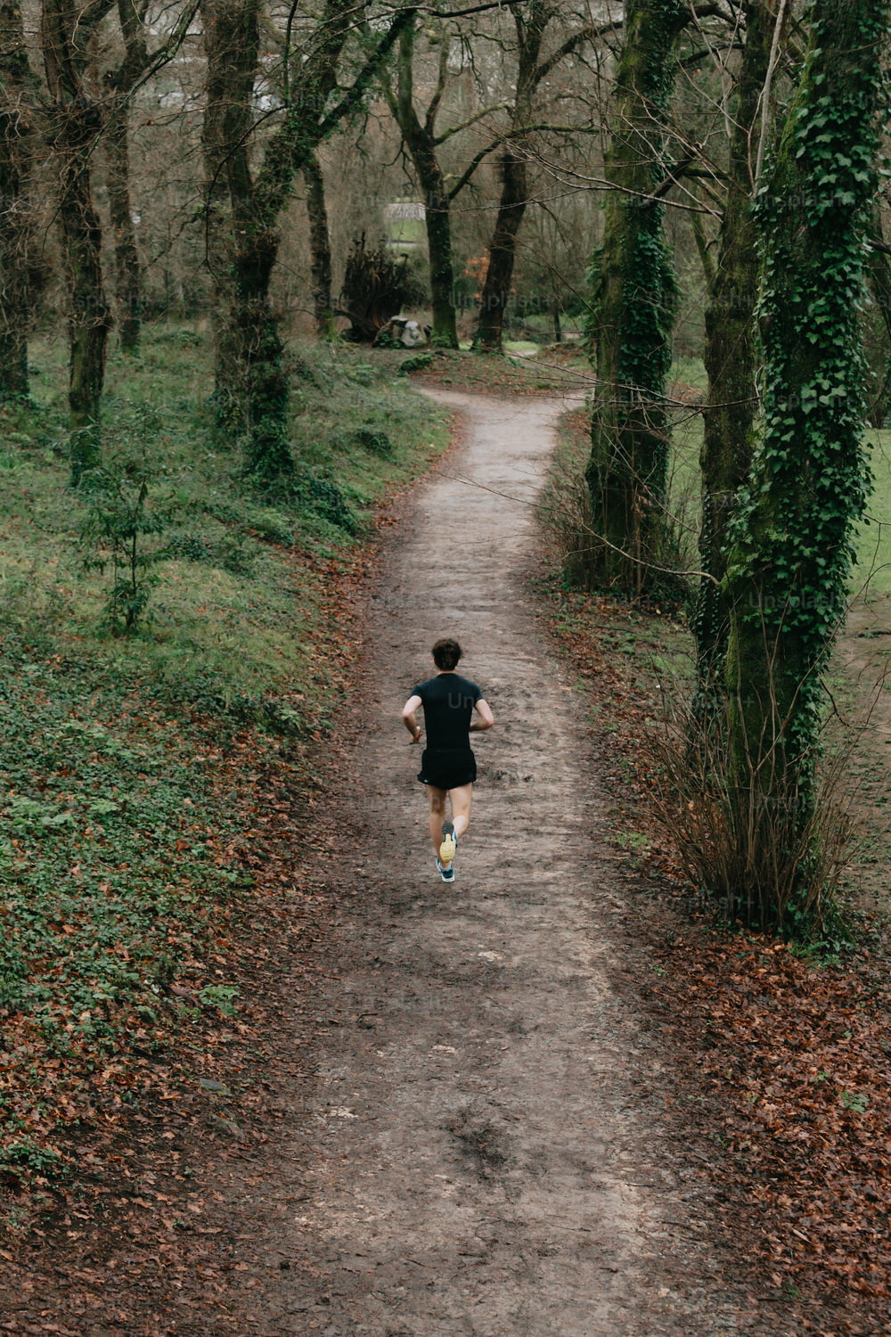 uma pessoa correndo por uma estrada de terra na floresta