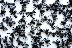 um grupo de figuras de aranha preta em uma superfície branca