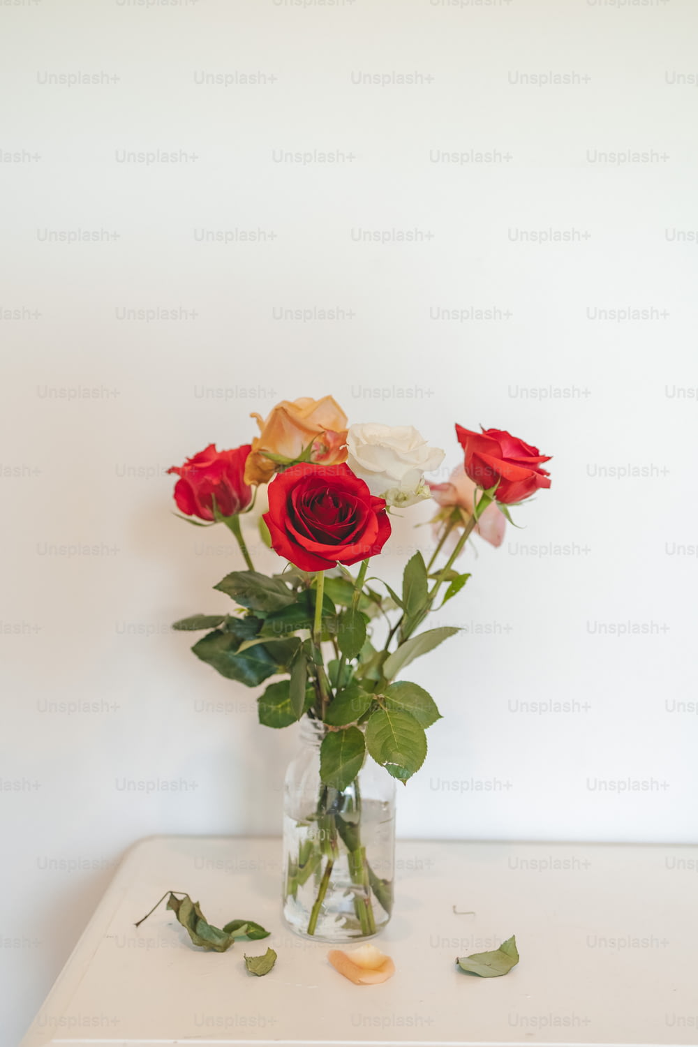 테이블 위에 빨간색과 흰색 장미로 채워��진 꽃병