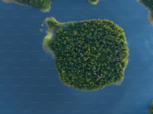 une vue aérienne d’un lac entouré d’arbres