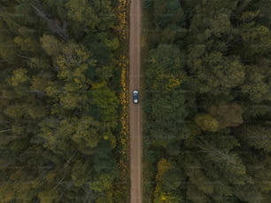 um carro dirigindo por uma estrada de terra no meio de uma floresta