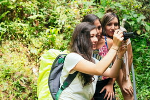 Mujeres Usando Cámara En El Bosque Tropical