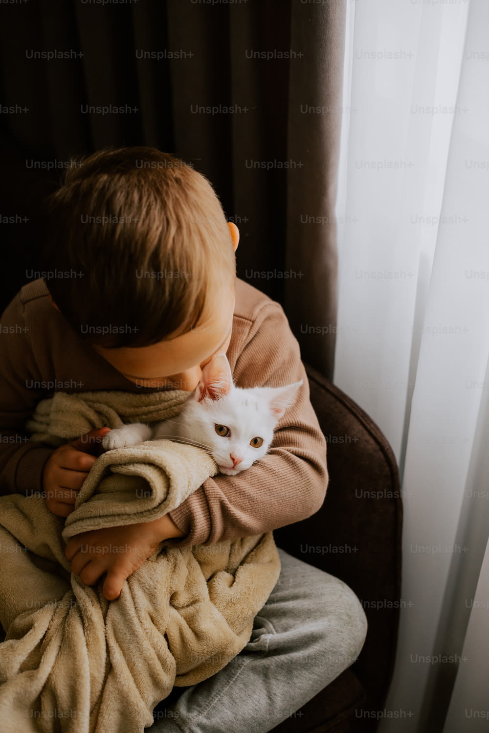 Ein kleiner Junge, der eine weiße Katze auf einer Decke hält