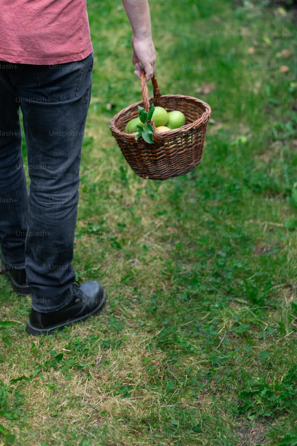 a person holding a basket of green apples