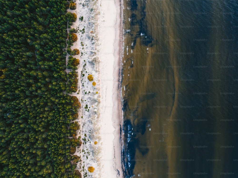 an aerial view of a beach and trees