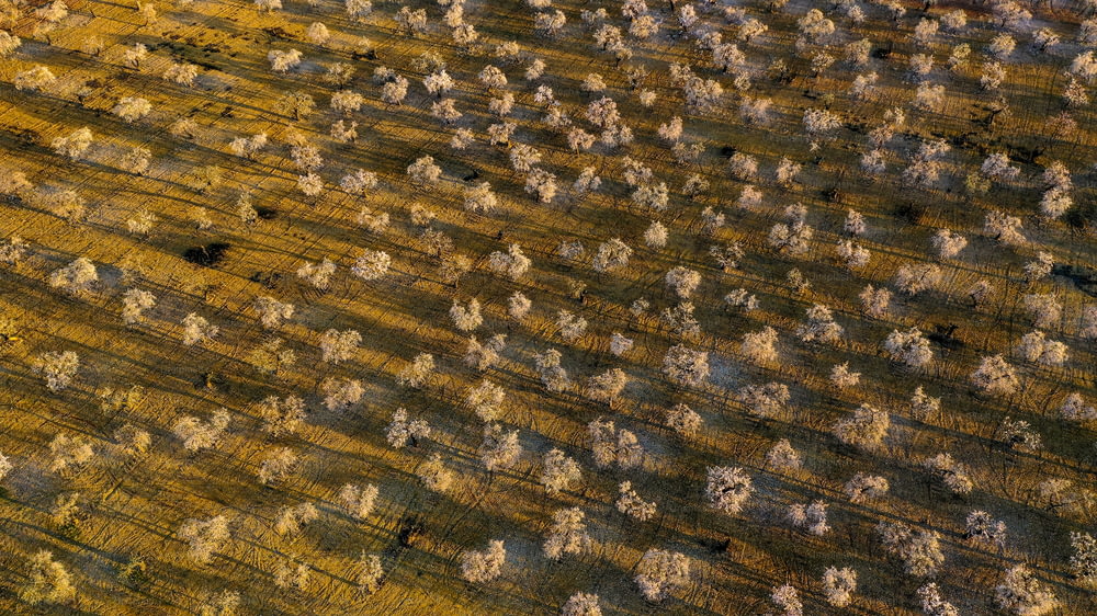une vue aérienne d’un champ labouré avec de la neige au sol