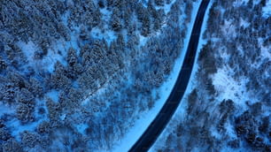 an aerial view of a road through a snowy forest
