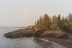 a rocky shore with trees and a body of water