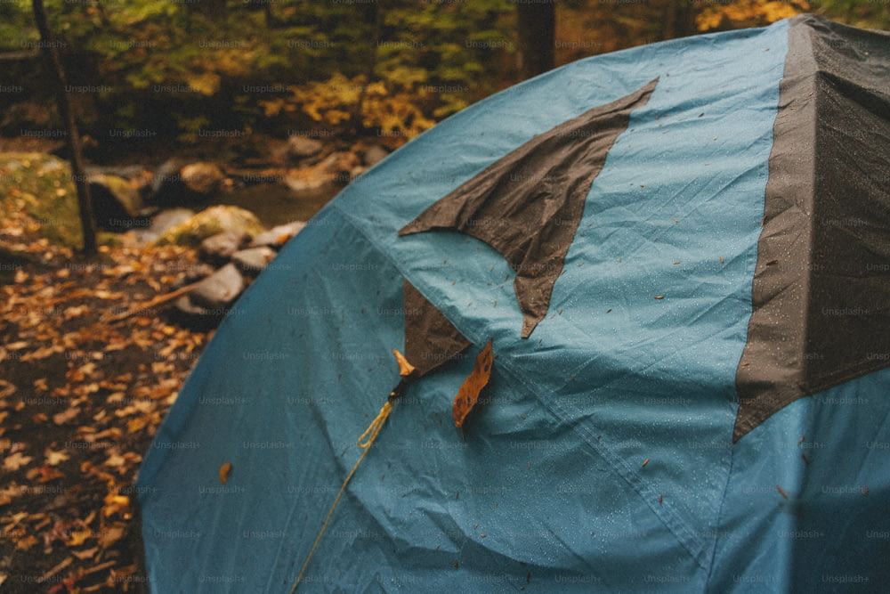 숲 속의 파란색과 검은색 텐트