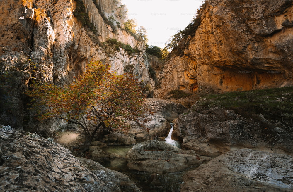 岩だらけの峡谷の真ん中にある小さな滝