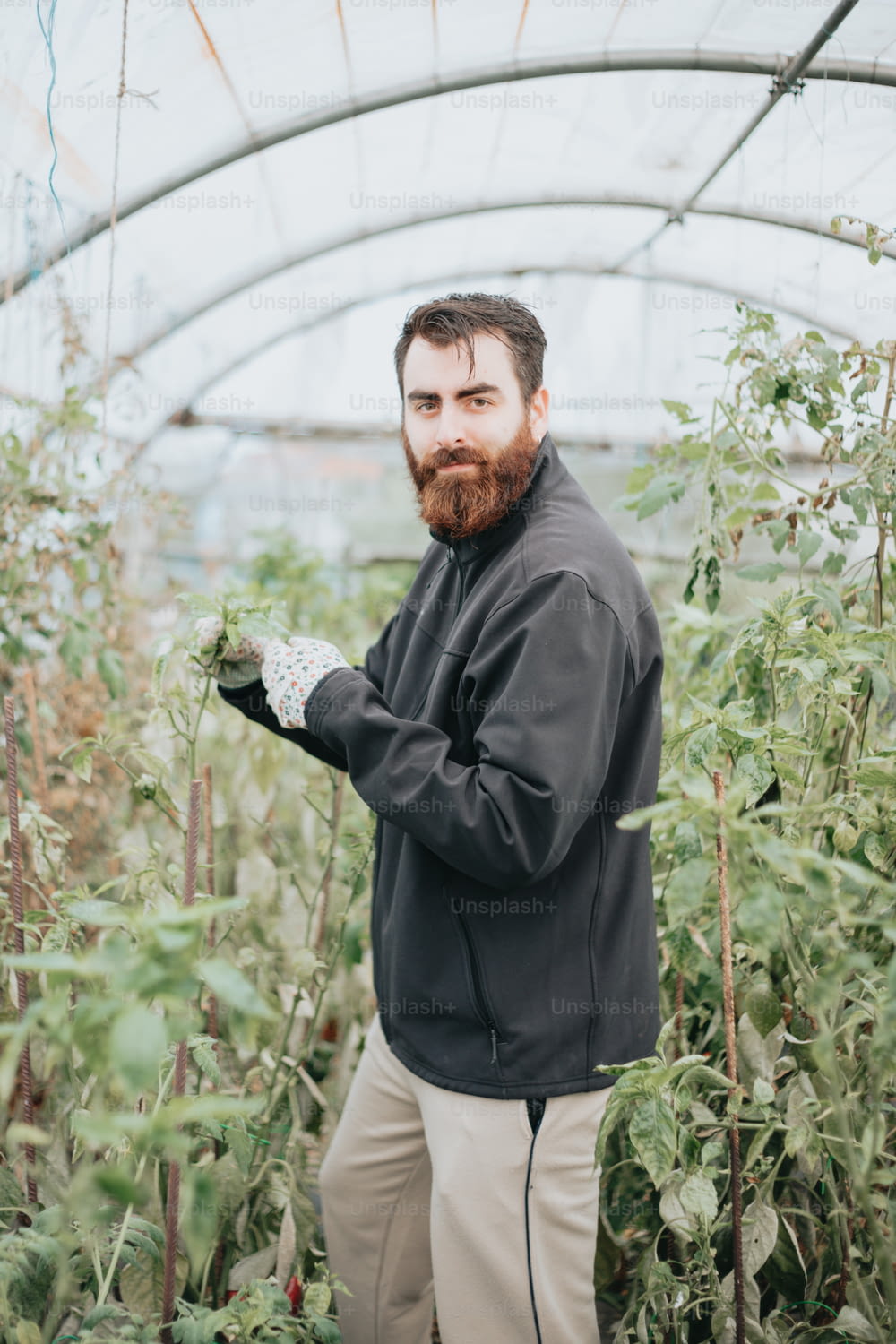 a man with a beard standing in a greenhouse