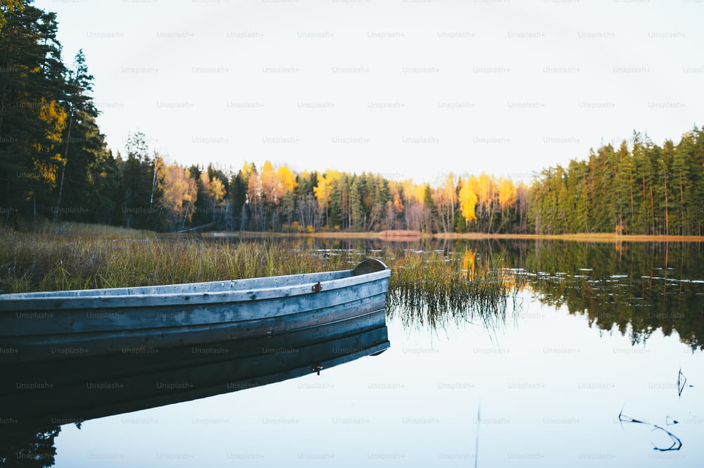 Una barca seduta sulla cima di un lago vicino a una foresta