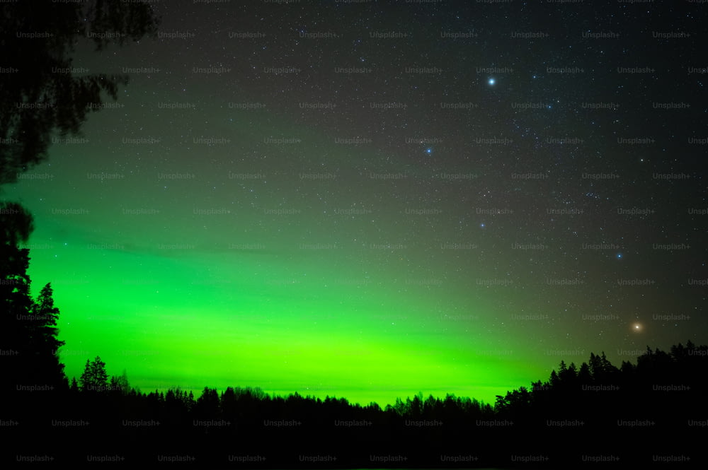 a green and black sky with stars and trees