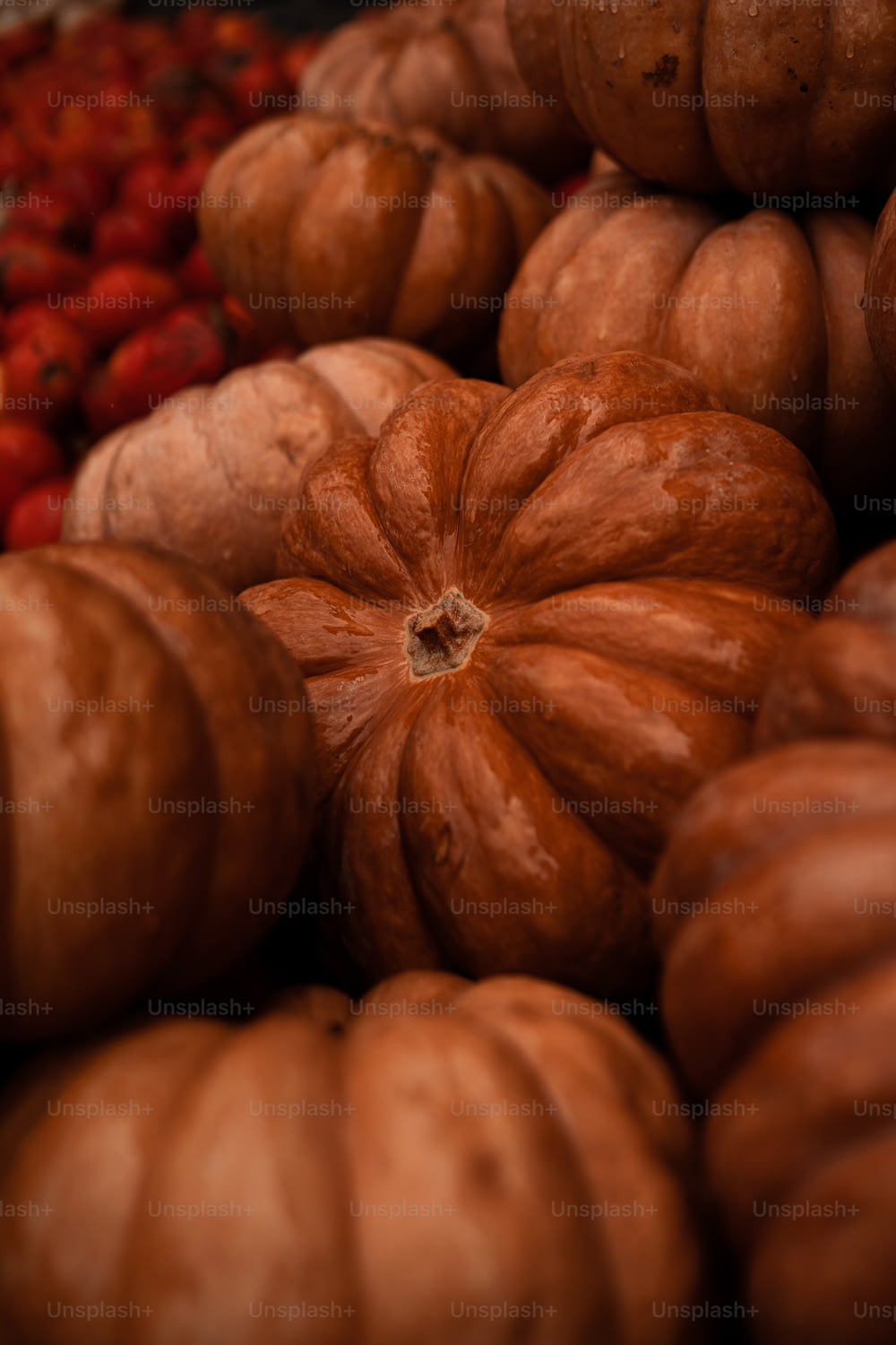 a pile of pumpkins sitting next to a pile of strawberries